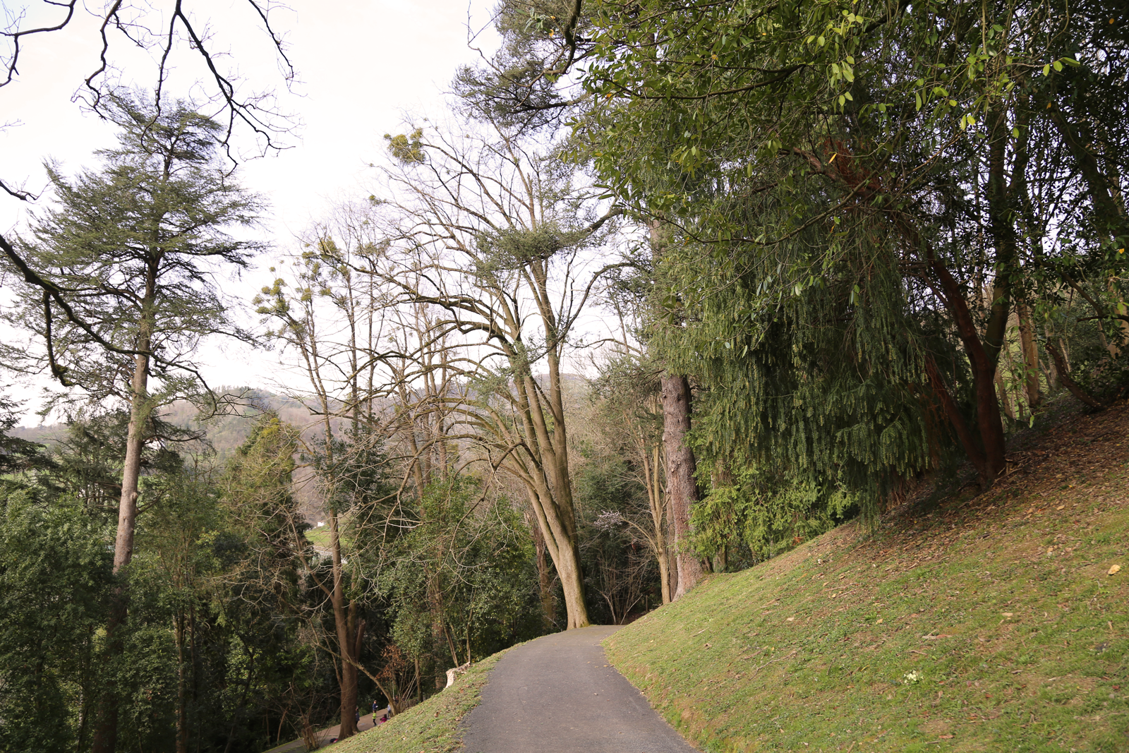 Parque elosegui