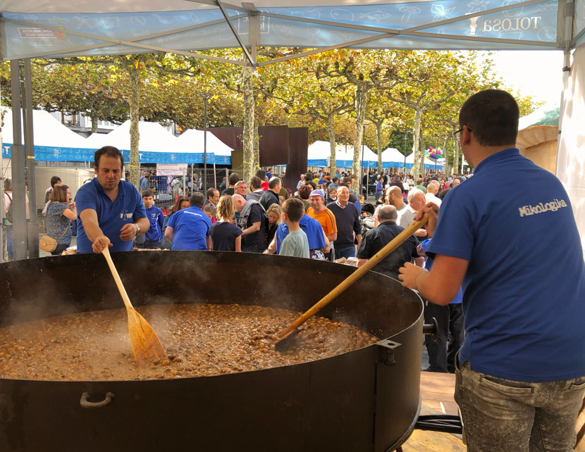 Mikologika Tolosa Feria