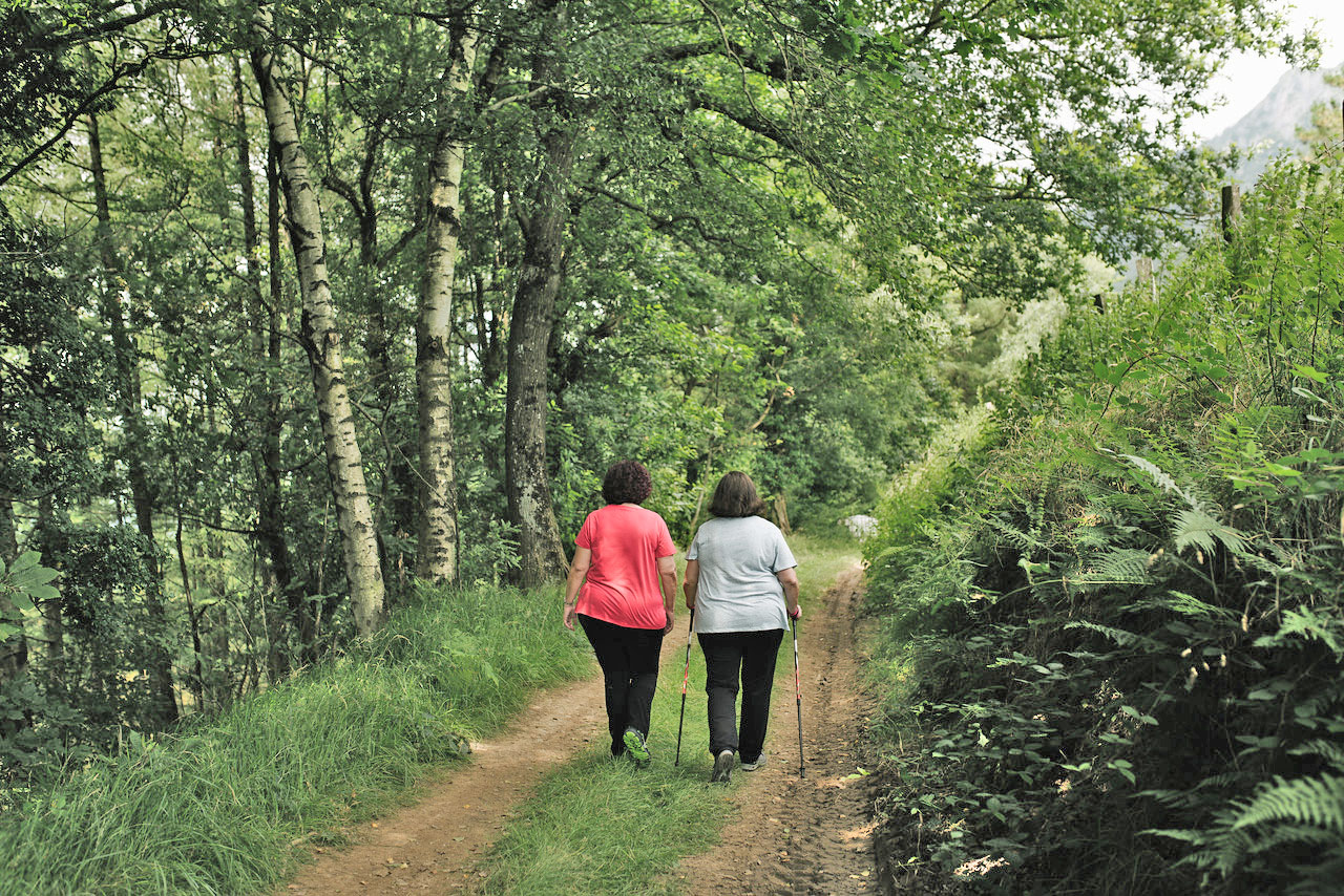 Tolosa, natura, monte