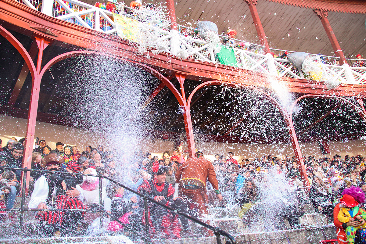 Tolosako Inauteriak Carnaval de Tolosa