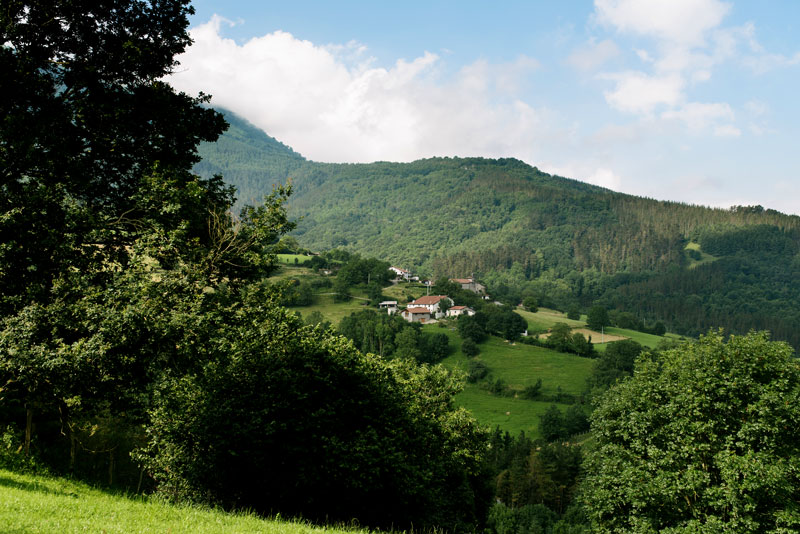 Bedaio Baserria Rural Caserio Tolosa Entorno