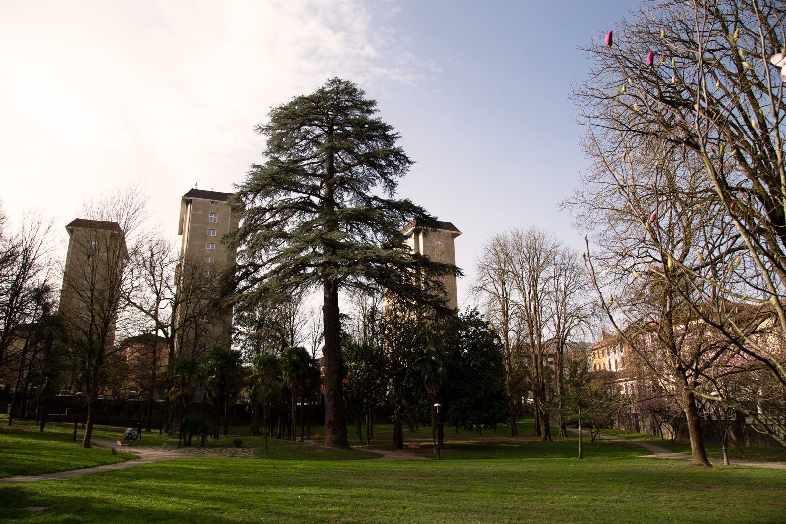 Parque zabalarreta