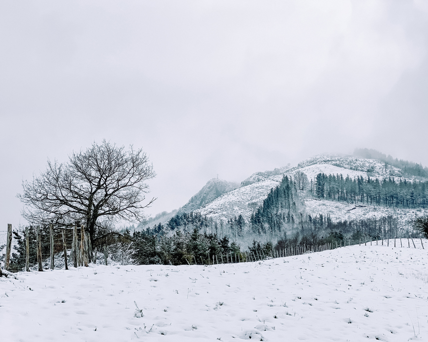 Monte uzturre con nieve desde izaskun