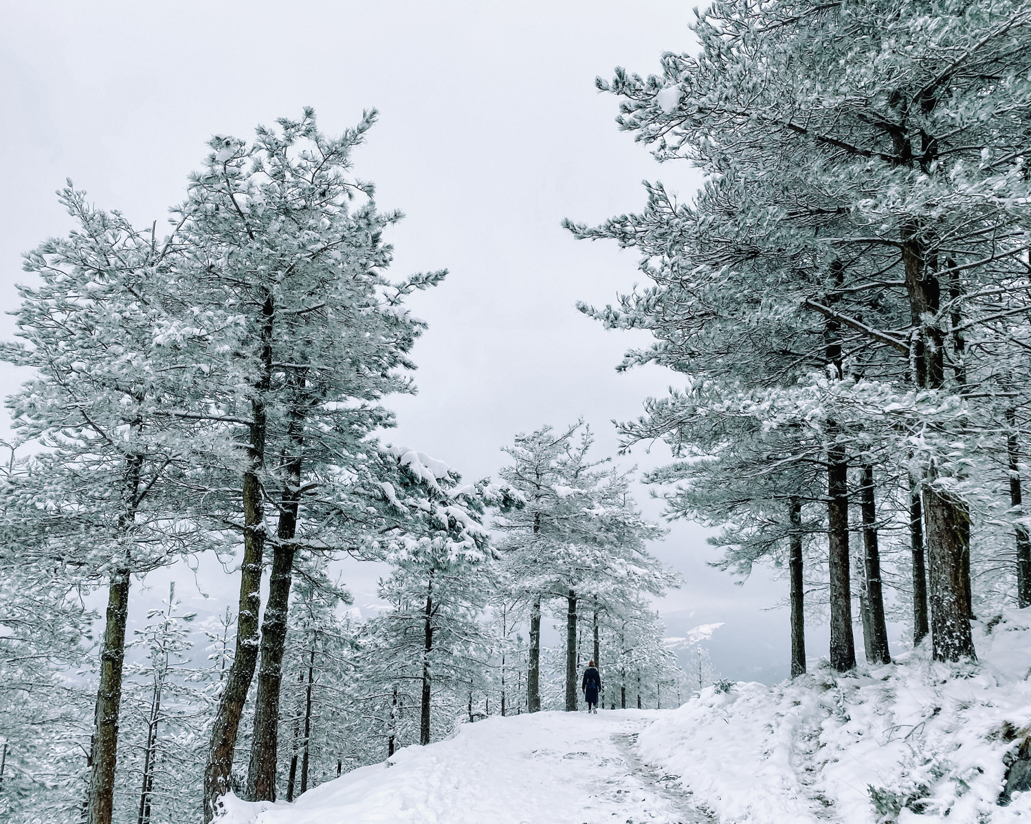subida al monte uzturre con nieve desde Tolosa