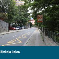 Hiribusa: Bizkaia kalea