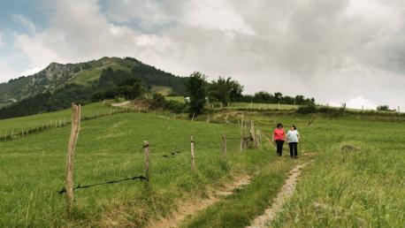 Uzturre, Montaña, Monte, Tolosa, Gipuzkoa, Paseo